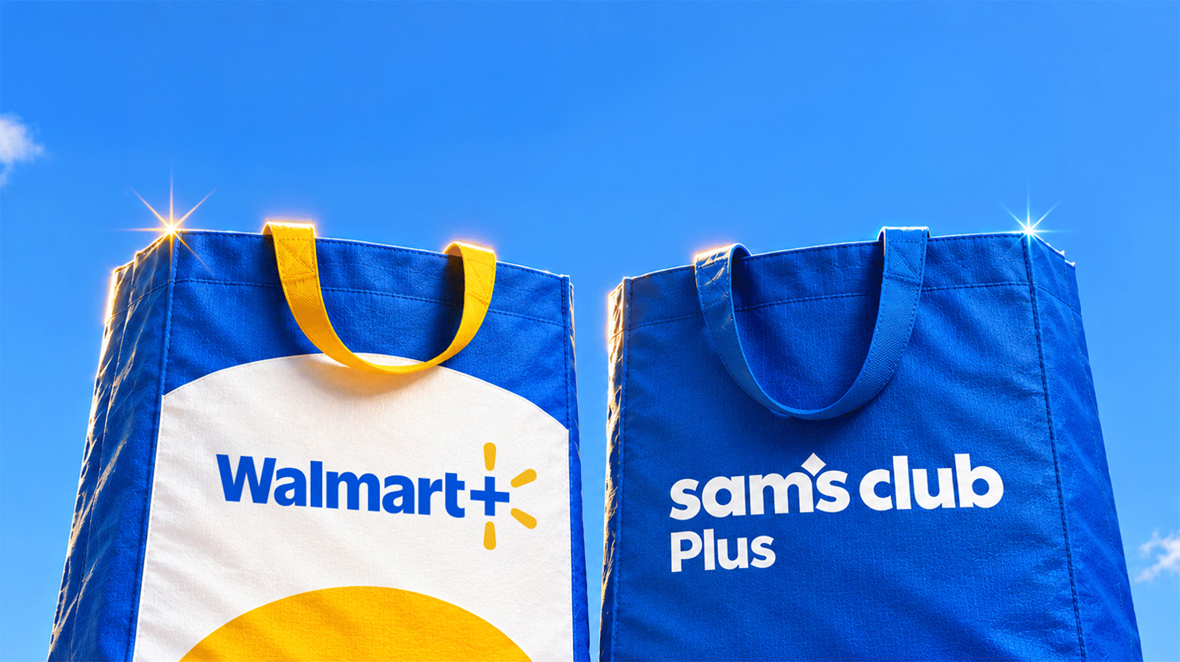 Walmart’s New $120 ‘Life Hack’ Bundle: How Much Pressure Will Amazon, Costco, or...